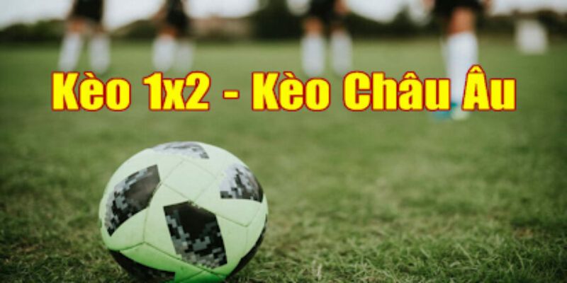 Châu âu có tỷ lệ kèo dễ hiểu trên Go99 