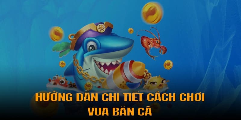 Hướng dẫn trải nghiệm